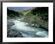 Kaweah River, Sierra Nevada, Usa by Olaf Broders Limited Edition Print