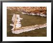 Ice-Covered Logs In A Stream, Illinois, Usa by Willard Clay Limited Edition Print