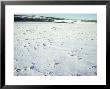 Wheat Field In Winter by Mike England Limited Edition Pricing Art Print