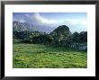 Latmos Mountains, Spring, Western Turkey by Berndt Fischer Limited Edition Print