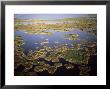 Tampico Wetlands, Gulf Of Mexico by Patricio Robles Gil Limited Edition Print