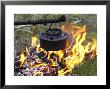 Heating Kettle Over Open Fire In Forest, Norway by Mark Hamblin Limited Edition Pricing Art Print