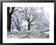 Park In Winter, Botanical Garden, Canada by Philippe Henry Limited Edition Pricing Art Print