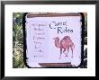 Camel Ride Tours Sign, Usa by Philippe Henry Limited Edition Pricing Art Print