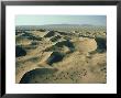 Sparse Vegetation In Sand Desert, Iran by Oxford Scientific Limited Edition Print