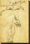 Sketch Of A Horse by Leonardo Da Vinci Limited Edition Print