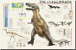 Tyrannosaurus by Libero Patrignani Limited Edition Print