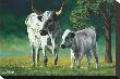 Grazing Cows by Rodolfo Escalera Limited Edition Print