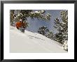 Man Skiing In Powder At Solitude Mountain Resort, Utah, Usa by Mike Tittel Limited Edition Print