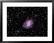 The Crab Nebula by Stocktrek Images Limited Edition Pricing Art Print