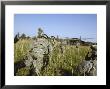 Us Army Soldiers Prepare To Board A Uh-60 Black Hawk Helicopter by Stocktrek Images Limited Edition Pricing Art Print