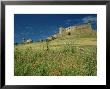 View Of Castle, Medallin, Extremadura, Spain by Michael Busselle Limited Edition Print