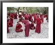Monks Learning Session, With Masters And Students, Sera Monastery, Tibet, China by Ethel Davies Limited Edition Print