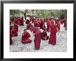 Monks Learning Session, With Masters And Students, Sera Monastery, Tibet, China by Ethel Davies Limited Edition Pricing Art Print