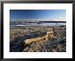 Beach And Sea At Dusk, Alnmouth, Northumberland, England, United Kingdom by Lee Frost Limited Edition Print