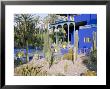 Jardin Majorelle, Marrakech (Marrakesh), Morocco, North Africa, Africa by Bruno Morandi Limited Edition Pricing Art Print