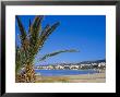 Palm Tree And Rethymo Beach, Rethymno (Rethymnon), Island Of Crete, Greece, Mediterranean by Marco Simoni Limited Edition Print