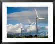 Tararua Wind Farm, Tararua Ranges, Near Palmerston North, North Island, New Zealand by David Wall Limited Edition Print