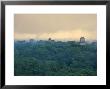 Tikal Pyramid Ruins And Rainforest, Dawn, Guatemala by Michele Falzone Limited Edition Print