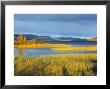 Lake In Laponia World Heritage Site, Lappland, Sweden by Gavin Hellier Limited Edition Print