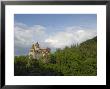 Bran Castle, Bran, Transylvania, Romania, Europe by Gary Cook Limited Edition Print