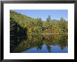 Lake Reflections Near Jackson, New Hampshire, New England, Usa by Fraser Hall Limited Edition Print