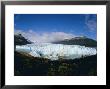 Perito Moreno Glacier, Has Almost Dammed The Tempano Channel, Patagonia, Argentina by Louise Murray Limited Edition Print