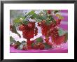 Small Bouquets Of Raspberries And Redcurrants by Friedrich Strauss Limited Edition Print