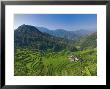 Rice Terraces Of Bangaan At Banaue, Luzon Island, Philippines by Michele Falzone Limited Edition Print
