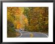 Road Nr. Lake George, New York State, Usa by Demetrio Carrasco Limited Edition Print