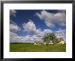 Naja, Great Plain, Hungary by Walter Bibikow Limited Edition Print