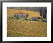 Vineyard, Greve In Chianti, Tuscany, Italy by Walter Bibikow Limited Edition Print