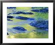 Summer Reflections In The Waters Of The Lamprey River, New Hampshire, Usa by Jerry & Marcy Monkman Limited Edition Print