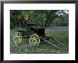 Old Wagon And Wildflowers, Devine, Texas, Usa by Darrell Gulin Limited Edition Print