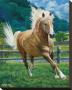 Palomino by Rodolfo Escalera Limited Edition Pricing Art Print