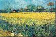 View Of Arles With Irises by Vincent Van Gogh Limited Edition Pricing Art Print