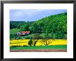 Rape Fields And Forests Surrounding Farm House On Kulla Peninsula, Skane, Sweden by Anders Blomqvist Limited Edition Print