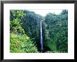 Waterfall In Akaka Falls State Park, United States Of America by Chris Mellor Limited Edition Print