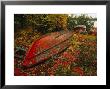 An Upturned Rowboat Among Red Osier Dogwoods In Fall Foliage by Raymond Gehman Limited Edition Print