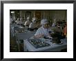 Women Packing Caviar Into Glass Jars For Export At Astrakhan Fish Complex Processing Plant by Carl Mydans Limited Edition Print