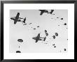 Scores Of Paratroopers Dropping From C-82 Flying Boxcar And Landing On Level Ground by Frank Scherschel Limited Edition Pricing Art Print