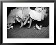 Teenage Girls Resting Feet At First Formal Dance At The Naval Armory by Cornell Capa Limited Edition Pricing Art Print