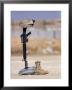 Boots, Rifle, Dog Tags, And Protective Helmet Stand In Solitude To Honor Fallen Soldiers by Stocktrek Images Limited Edition Print