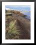 Cavendish Coast, Prince Edward Island, Canada by Alison Wright Limited Edition Pricing Art Print