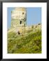 Family Walking In Blooming Maquis To Genoese Tower, Le Sentier Des Douaniers, Cap Corse by Trish Drury Limited Edition Pricing Art Print