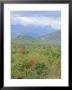 White Mountains National Forest, New Hampshire, Usa by Amanda Hall Limited Edition Print