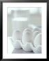 White Eggs In An Egg Holder by Alena Hrbkova Limited Edition Print