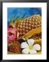 Exotic Fruits: Lychees, Red Pitahaya, Papaya, Pineapple by Vladimir Shulevsky Limited Edition Pricing Art Print