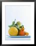 Still Life With Citrus Fruits by Armin Zogbaum Limited Edition Pricing Art Print