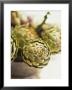 Fresh Artichokes by Debi Treloar Limited Edition Print